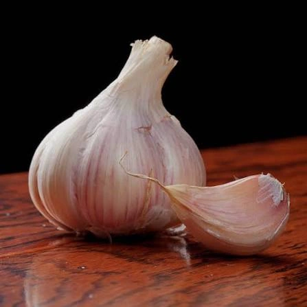 Garlic Bulb ingredient used in PressureCalmX